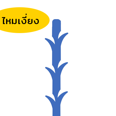 ไหมแบบเงี่ยง